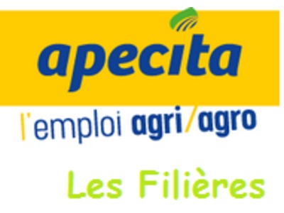 APECITA Cahiers experts